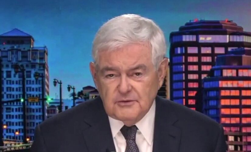 Newt Gingrich: Crisis of American civilization – here’s what we must do to oppose forces trying to destroy US