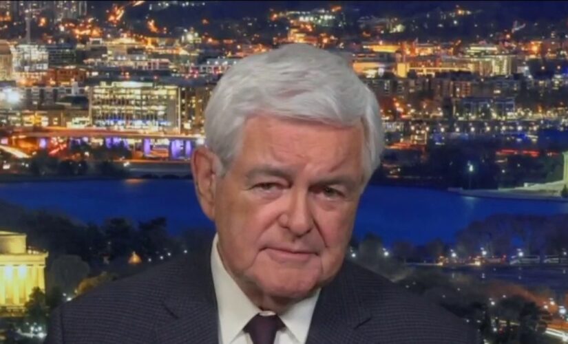 Blue states are ‘hemorrhaging people, shoving them away’ as Dems continue to raise taxes: Newt Gingrich