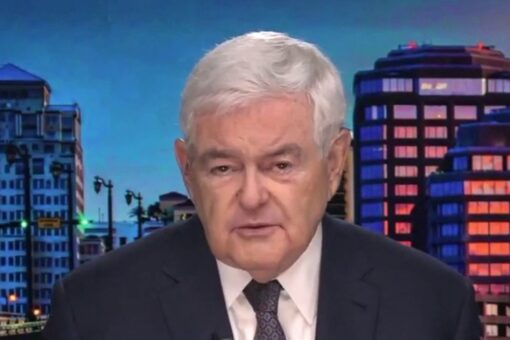Newt Gingrich: Crisis of American civilization – here’s what we must do to oppose forces trying to destroy US