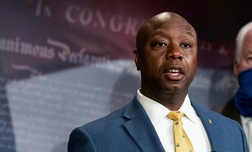 Washington Post crushed for ‘fact check’ on whether Sen. Tim Scott truly went ‘from cotton to Congress’