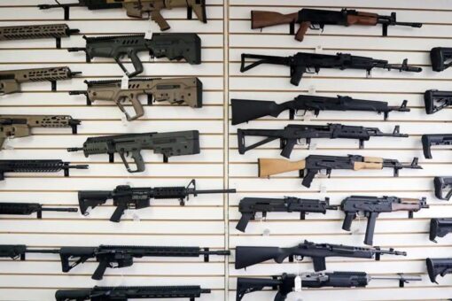 22 states fight California gun restrictions, urge Ninth Circuit to rule against large-capacity magazine ban