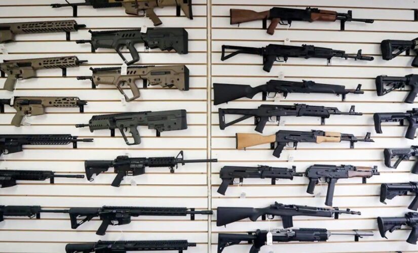 22 states fight California gun restrictions, urge Ninth Circuit to rule against large-capacity magazine ban