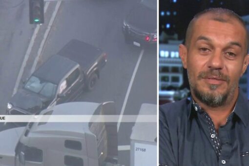 California truck driver stops high-speed police chase with murder suspect