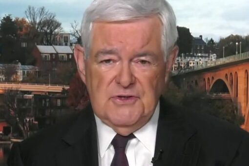 Gingrich says Maxine Waters, far left becoming more radical: ‘Why should we tolerate violence?’