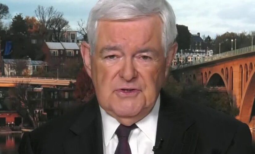 Gingrich says Maxine Waters, far left becoming more radical: ‘Why should we tolerate violence?’