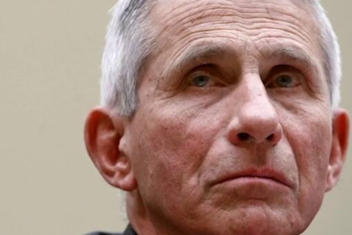 Miranda Devine slams Dr. Fauci’s COVID flip-flops and contradictions: ‘He’s been all fear, no responsibility’