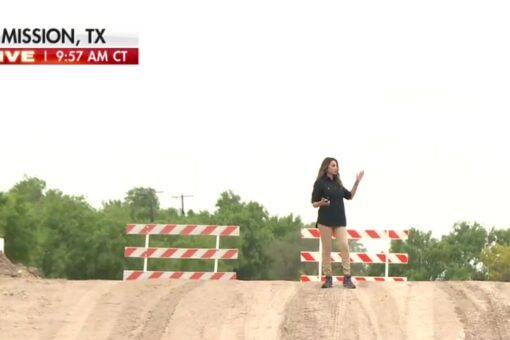 Cruz calls on Biden to fix gap in Texas levee that protects border towns