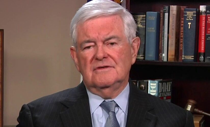 Newt Gingrich: Repudiate Tlaib and Waters – here’s how their support for mob rule endangers Americans