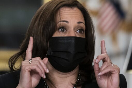 VP Harris visits Chicago bakery even as border crisis escalates