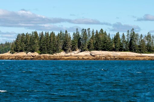 Lone home for sale on Rhode Island isle has apropos address of 0 Patience Way: ‘Very special opportunity’