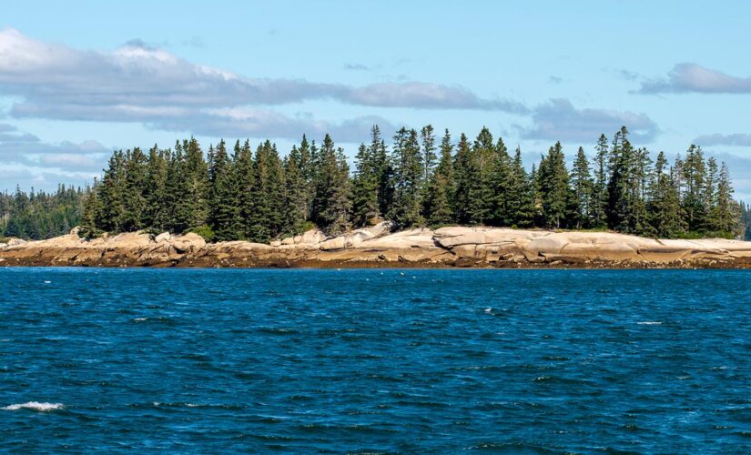 Lone home for sale on Rhode Island isle has apropos address of 0 Patience Way: ‘Very special opportunity’