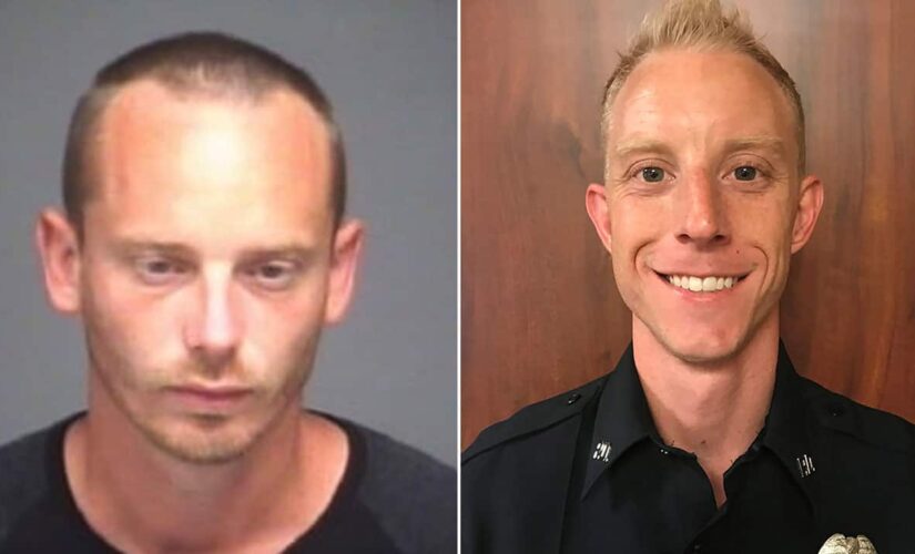 Suspect captured in shooting of Texas police officer during traffic stop