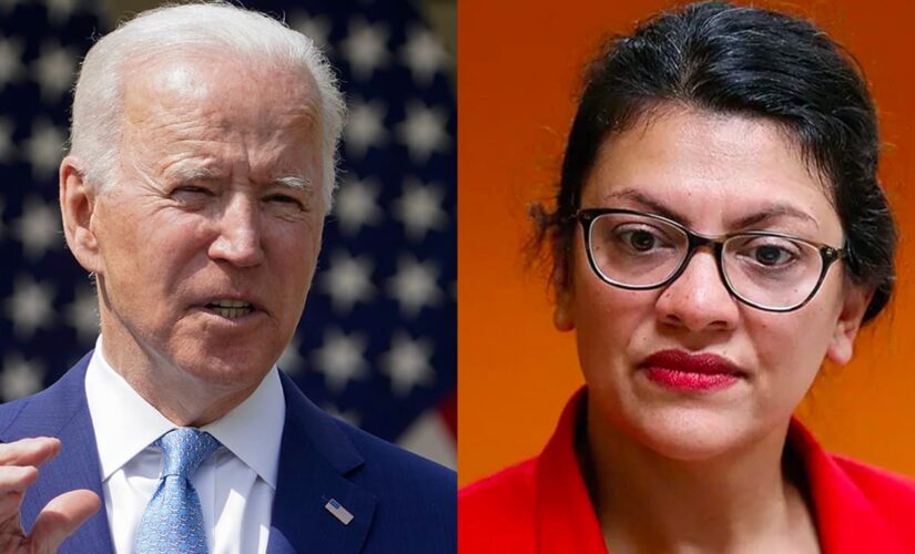 Biden doesn’t agree with Tlaib’s call for ending policing, Psaki says: ‘Not the president’s view’