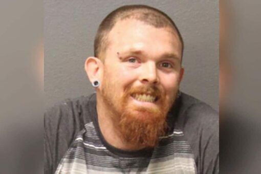 Former California resident sentenced to prison for fatally shooting elephant seal