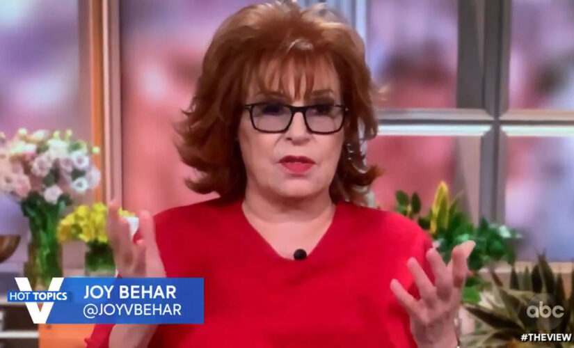 Joy Behar says Tim Scott ‘doesn’t seem to understand’ the difference between racist country, systemic racism