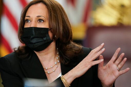 VP Harris on southern border assignment: ‘It’s not going to be solved overnight’