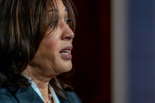 White House insists VP Harris’ focus is ‘not on the border’ but on migration ‘root causes’