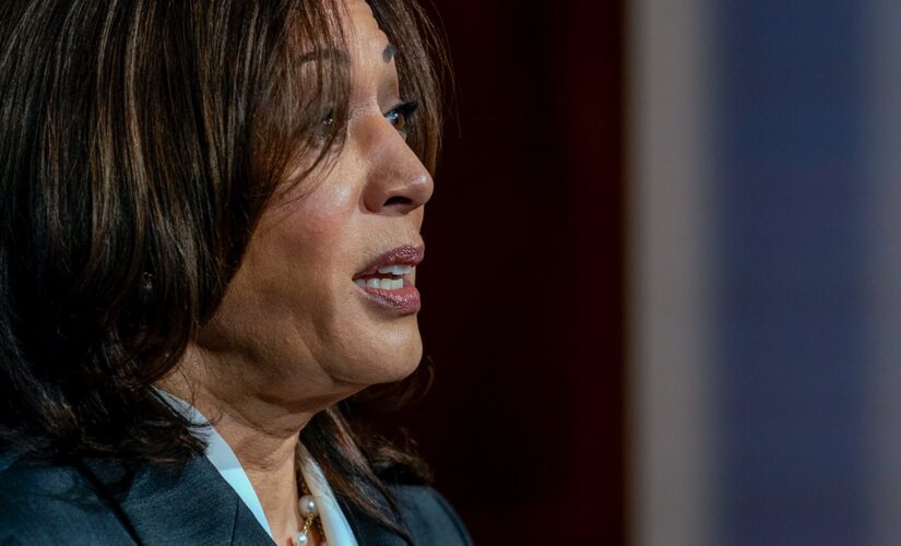 White House insists VP Harris’ focus is ‘not on the border’ but on migration ‘root causes’