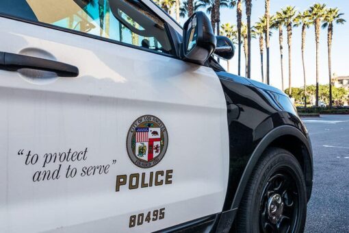 Los Angeles police shoot, kill driver wearing body armor who slammed patrol car, confronted officers