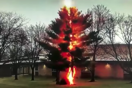 Tree struck, shattered by lightning outside Wisconsin high school, video shows