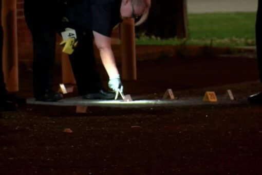 Louisiana shooting leaves at least 5 hospitalized: report