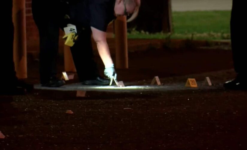 Louisiana shooting leaves at least 5 hospitalized: report