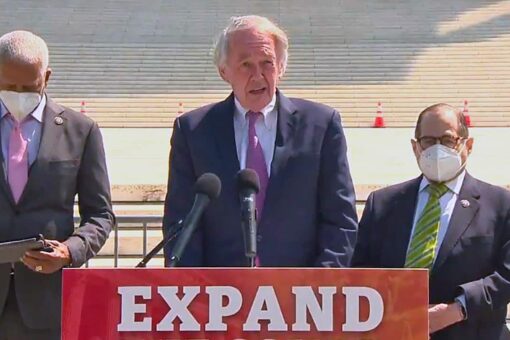 Progressive activists pledge to push the court packing legislation into law