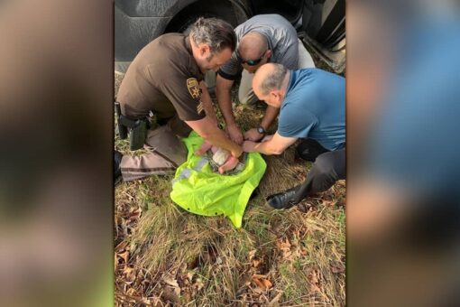 Michigan deputies rescue abandoned 4-month-old left in woods