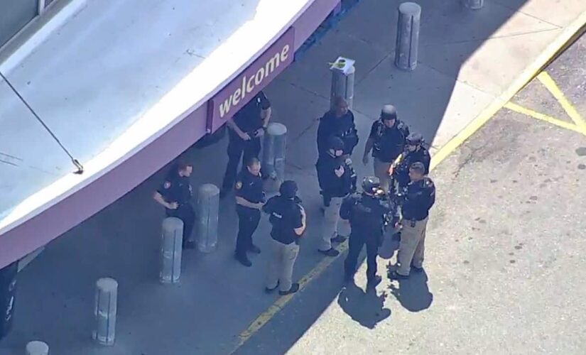 3 shot at suburban New York grocery store; manhunt underway: report