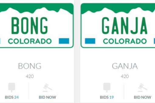 Colorado auctioning weed-themed license plates to raise money for disability fund