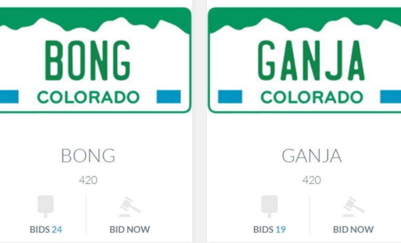 Colorado auctioning weed-themed license plates to raise money for disability fund