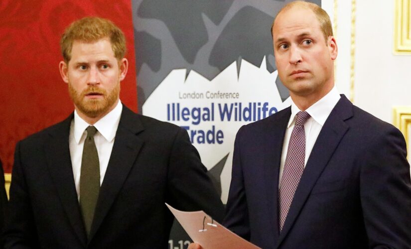 Prince William wants to reunite privately with Prince Harry before unveiling statue of Princess Diana: source