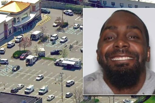 New York gunman who opened fire at Stop & Shop had ‘uneventful’ meeting with boss, returned with gun: police