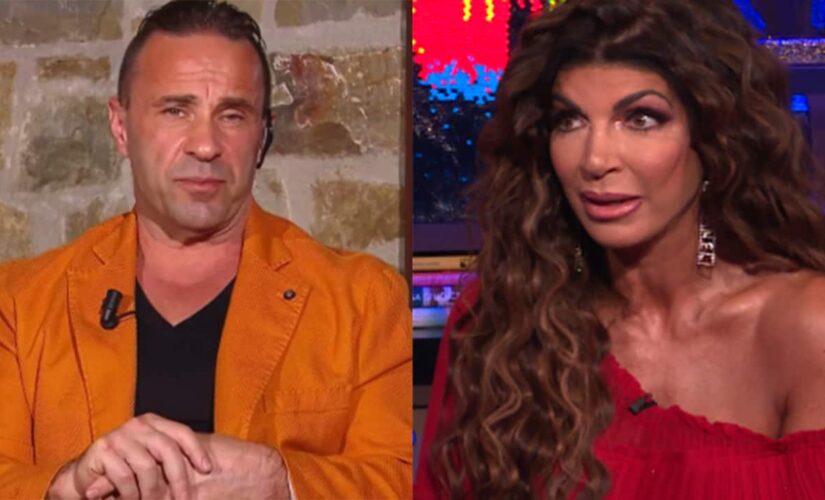 ‘Real Housewives’ star Joe Giudice says daughters with ex Teresa are ‘truly perfection’