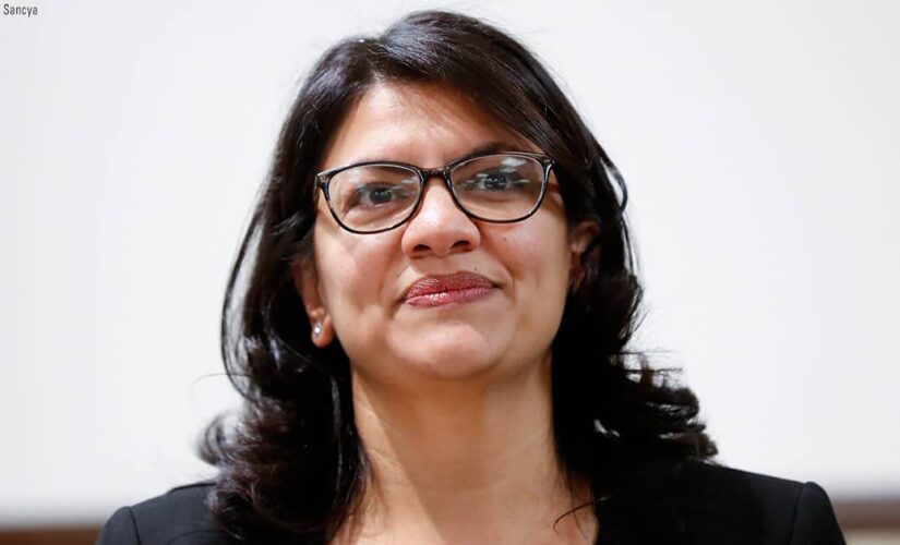 Rashida Tlaib takes heat for ‘no more policing’ comment after Daunte Wright shooting