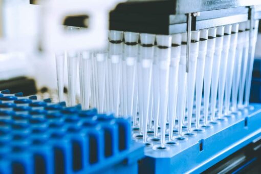 These viruses are the most likely to trigger the next pandemic, scientists predict