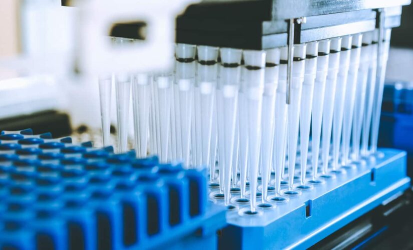 These viruses are the most likely to trigger the next pandemic, scientists predict