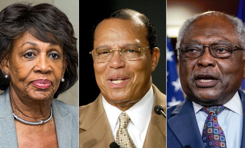 Prominent Democrats’ Farrakhan ties resurface after Capitol attacker revealed as Nation of Islam follower