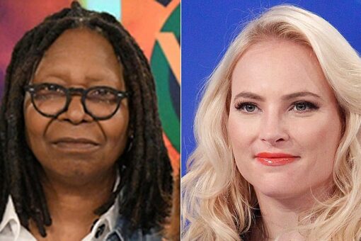 ‘The View’ derails into awkward silence as McCain clashes with Whoopi over Georgia voting law