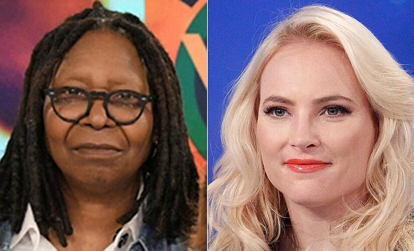 ‘The View’ derails into awkward silence as McCain clashes with Whoopi over Georgia voting law