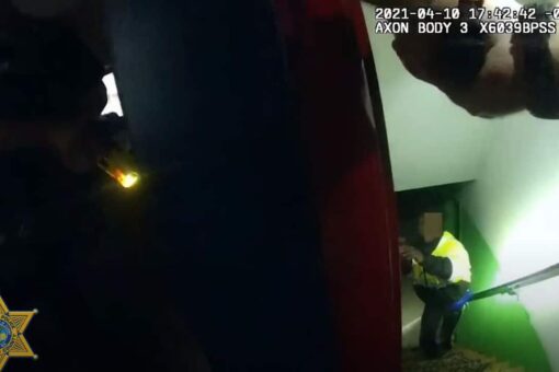 Illinois deputies fatally shoot pipe-wielding domestic violence suspect, bodycam video shows
