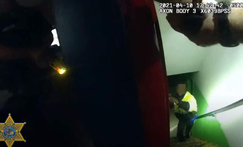 Illinois deputies fatally shoot pipe-wielding domestic violence suspect, bodycam video shows