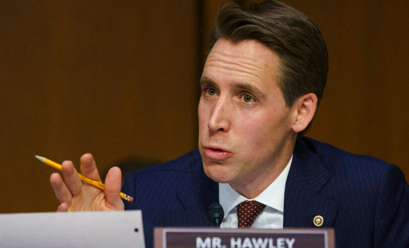 Hawley warns Big Tech companies working to ‘transform America’ in new book