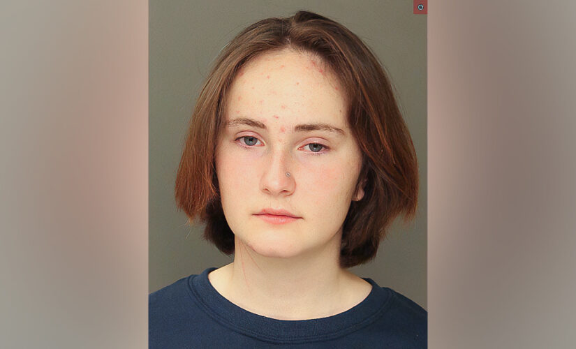 Pennsylvania teen charged with murdering older sister to seek mental health defense, lawyer says