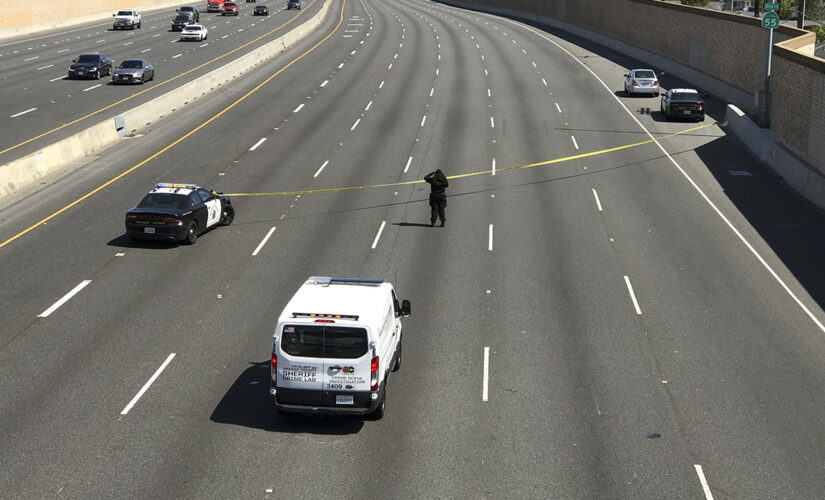 Reward reaches $300K for California freeway shooter who killed 6-year-old