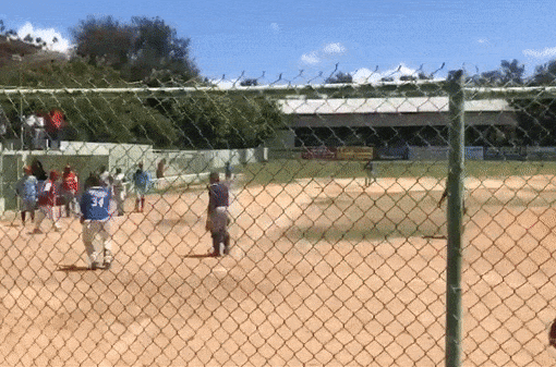 Dominican Republic baseball player assaults umpire with bat, gets arrested: report