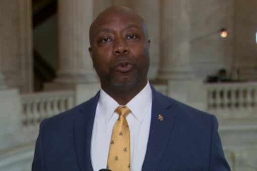 Texas Democratic official resigns after calling Tim Scott an ‘oreo’