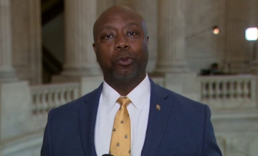 Texas Democratic official resigns after calling Tim Scott an ‘oreo’