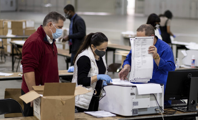 Georgia’s Fulton County sees chaotic vote for GOP chair, latest election headache
