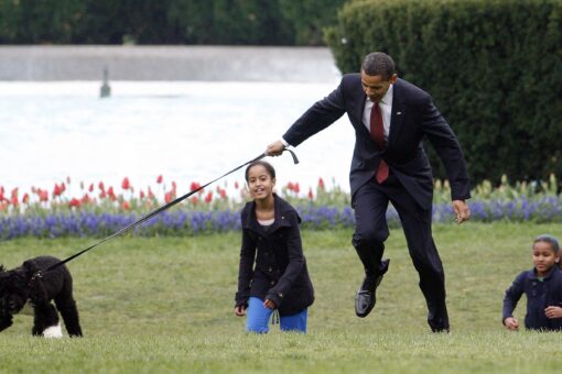 Obama family dog Bo dies